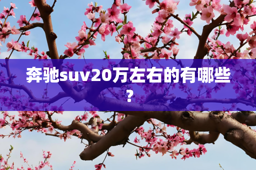 奔驰suv20万左右的有哪些？