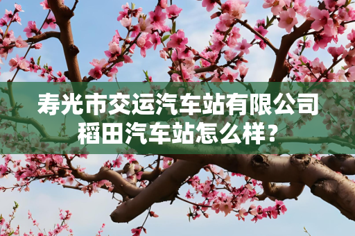 寿光市交运汽车站有限公司稻田汽车站怎么样？