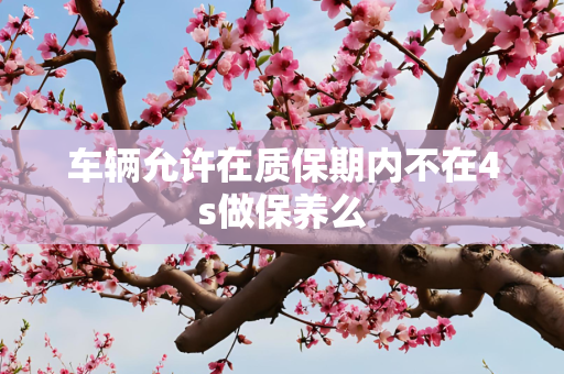 车辆允许在质保期内不在4s做保养么