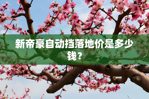新帝豪自动挡落地价是多少钱？