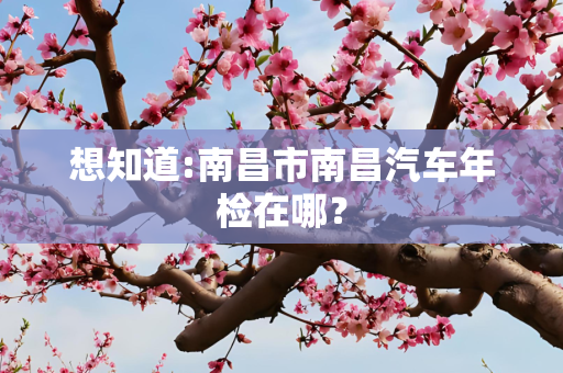 想知道:南昌市南昌汽车年检在哪？