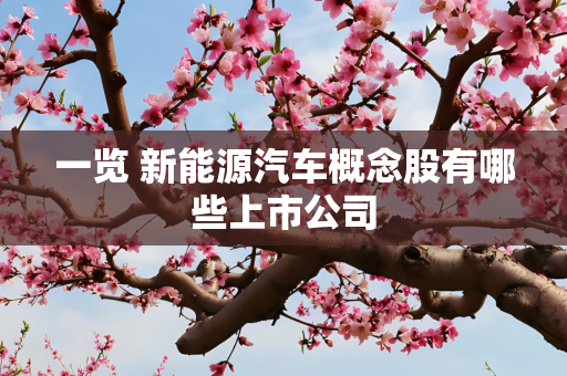 一览 新能源汽车概念股有哪些上市公司