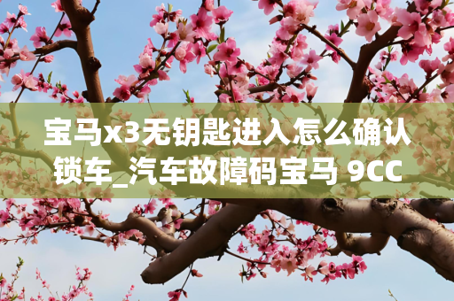 宝马x3无钥匙进入怎么确认锁车_汽车故障码宝马 9CCB