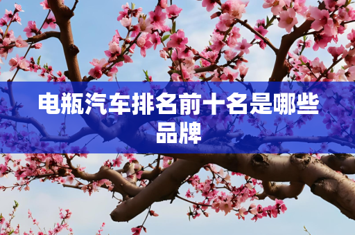 电瓶汽车排名前十名是哪些品牌
