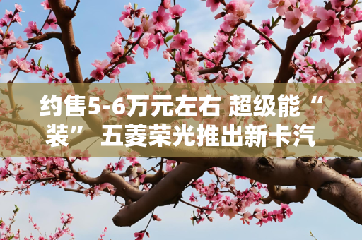约售5-6万元左右 超级能“装” 五菱荣光推出新卡汽车下乡版车型