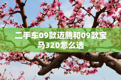 二手车09款迈腾和09款宝马320怎么选