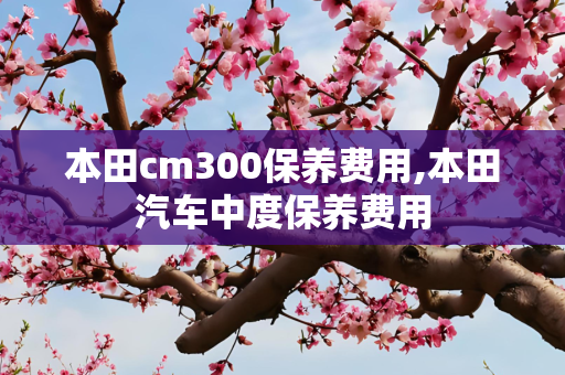 本田cm300保养费用,本田汽车中度保养费用