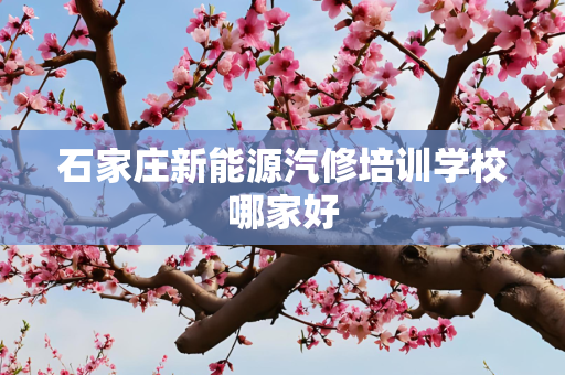 石家庄新能源汽修培训学校哪家好