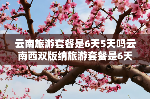 云南旅游套餐是6天5天吗云南西双版纳旅游套餐是6天5天吗