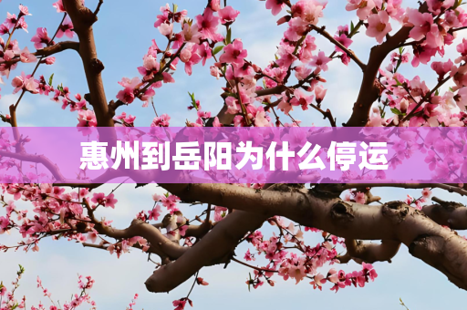 惠州到岳阳为什么停运