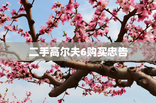 二手高尔夫6购买忠告