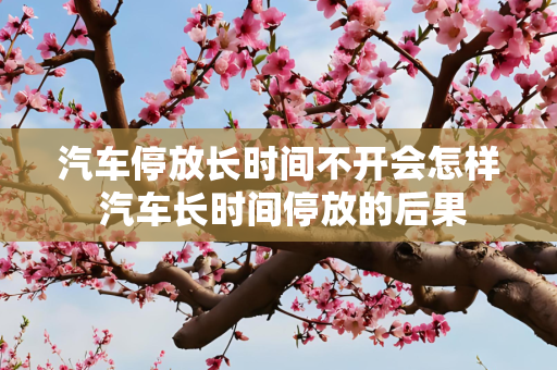 汽车停放长时间不开会怎样 汽车长时间停放的后果