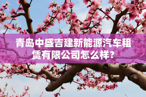 青岛中盛吉建新能源汽车租赁有限公司怎么样？