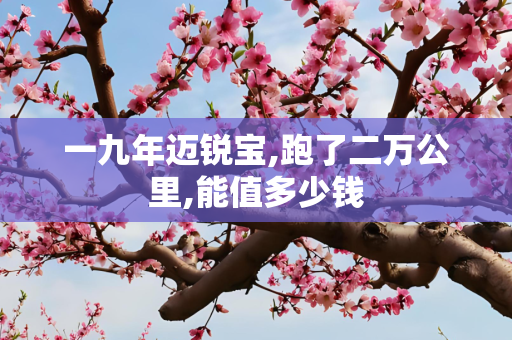 一九年迈锐宝,跑了二万公里,能值多少钱