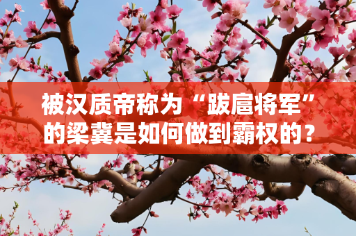 被汉质帝称为“跋扈将军”的梁冀是如何做到霸权的？