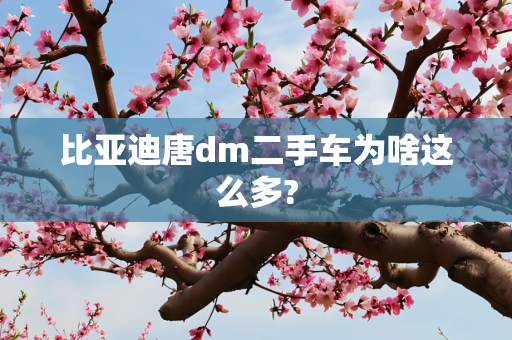 比亚迪唐dm二手车为啥这么多?