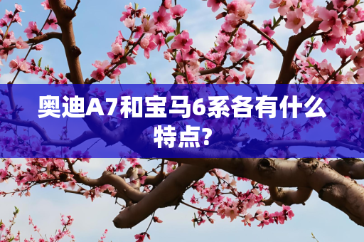 奥迪A7和宝马6系各有什么特点?