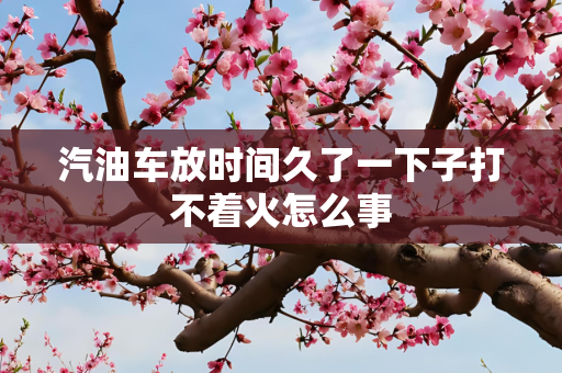汽油车放时间久了一下子打不着火怎么事