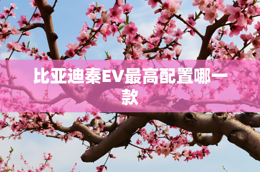 比亚迪秦EV最高配置哪一款
