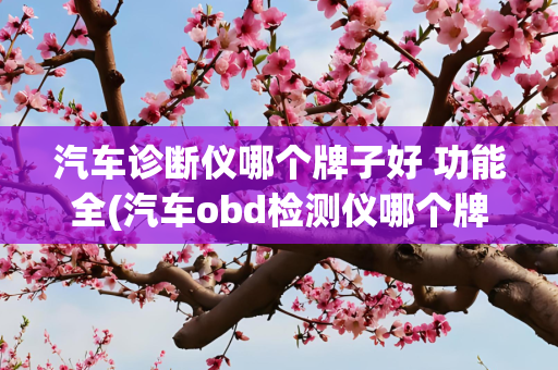 汽车诊断仪哪个牌子好 功能全(汽车obd检测仪哪个牌子好)
