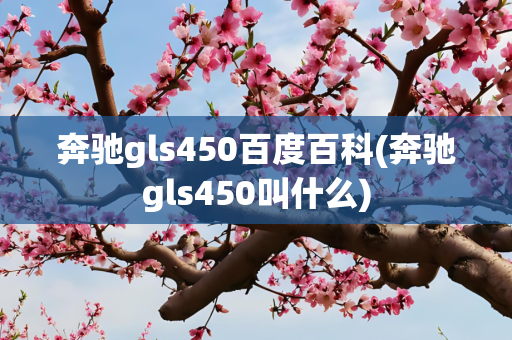 奔驰gls450百度百科(奔驰gls450叫什么)