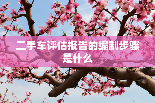 二手车评估报告的编制步骤是什么