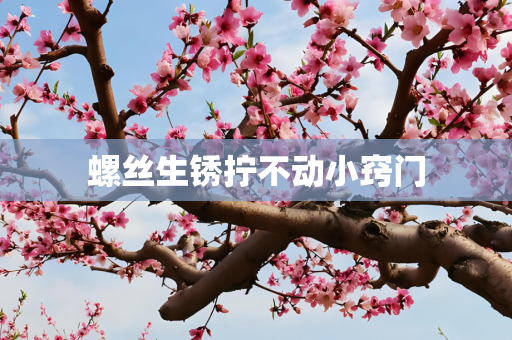螺丝生锈拧不动小窍门