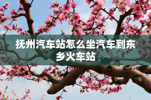 抚州汽车站怎么坐汽车到东乡火车站
