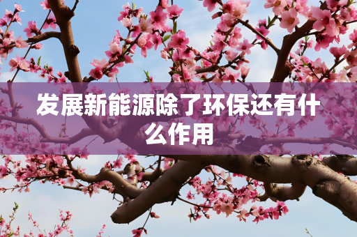 发展新能源除了环保还有什么作用