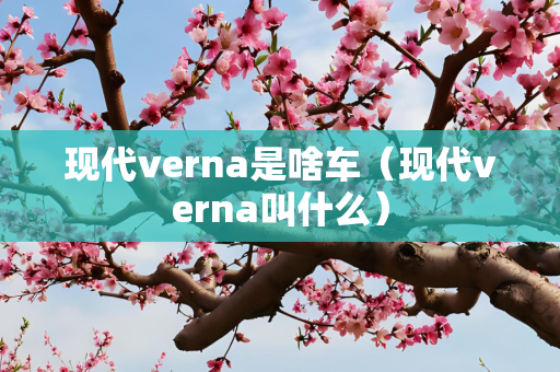 现代verna是啥车（现代verna叫什么）