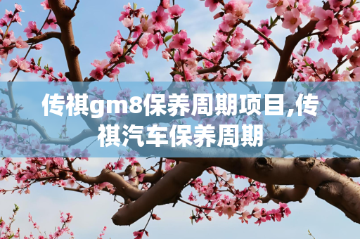 传祺gm8保养周期项目,传祺汽车保养周期