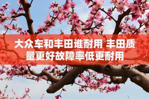 大众车和丰田谁耐用 丰田质量更好故障率低更耐用