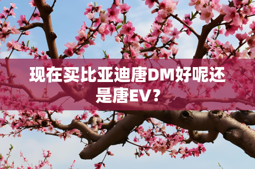 现在买比亚迪唐DM好呢还是唐EV？