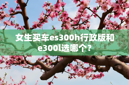 女生买车es300h行政版和e300l选哪个？