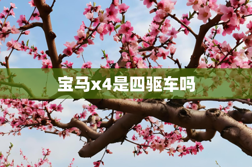 宝马x4是四驱车吗