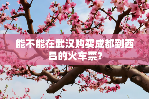 能不能在武汉购买成都到西昌的火车票？