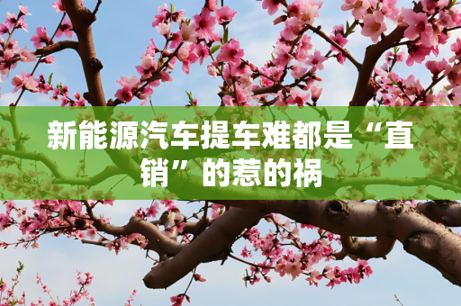 新能源汽车提车难都是“直销”的惹的祸