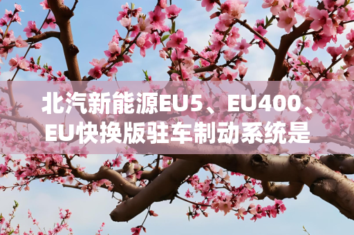 北汽新能源EU5、EU400、EU快换版驻车制动系统是什么？