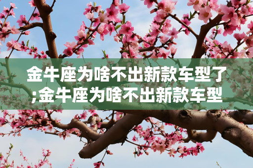 金牛座为啥不出新款车型了;金牛座为啥不出新款车型