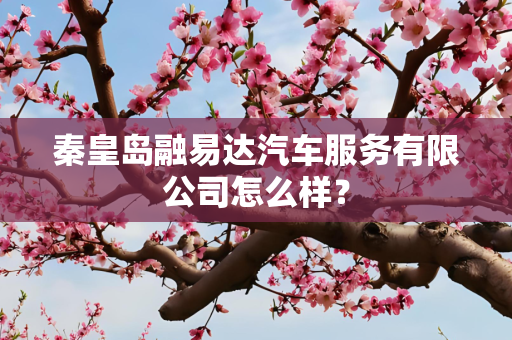 秦皇岛融易达汽车服务有限公司怎么样？