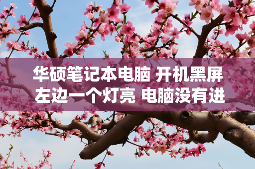 华硕笔记本电脑 开机黑屏 左边一个灯亮 电脑没有进入系统声音 有风扇
