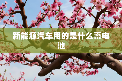 新能源汽车用的是什么蓄电池