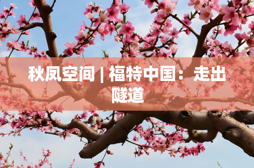 秋凤空间 | 福特中国：走出隧道