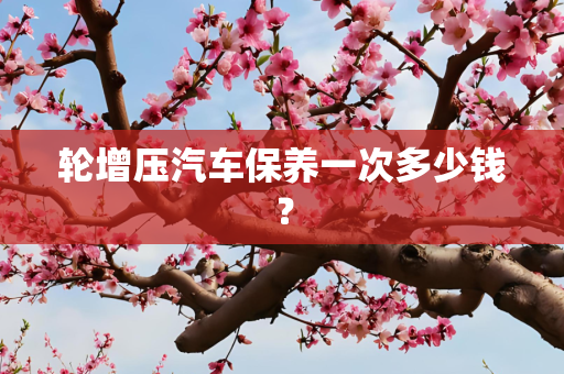 轮增压汽车保养一次多少钱？