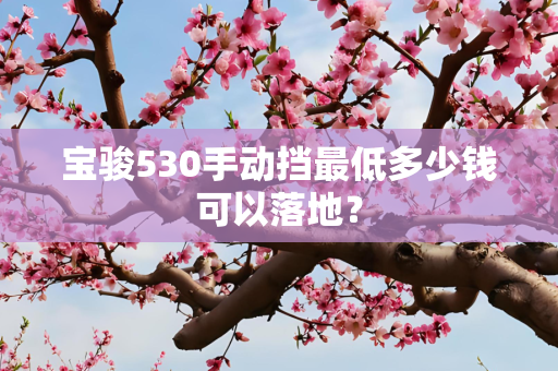 宝骏530手动挡最低多少钱可以落地？