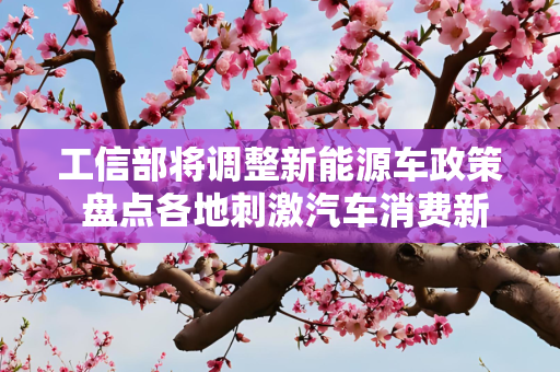 工信部将调整新能源车政策 盘点各地刺激汽车消费新政