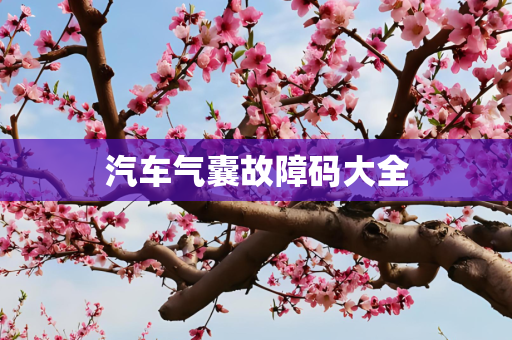 汽车气囊故障码大全
