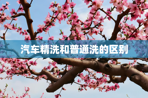 汽车精洗和普通洗的区别
