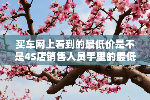 买车网上看到的最低价是不是4S店销售人员手里的最低价？