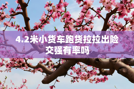 4.2米小货车跑货拉拉出险交强有率吗